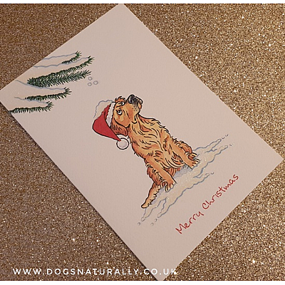 Golden Retriever Christmas Card (Flitter Range)